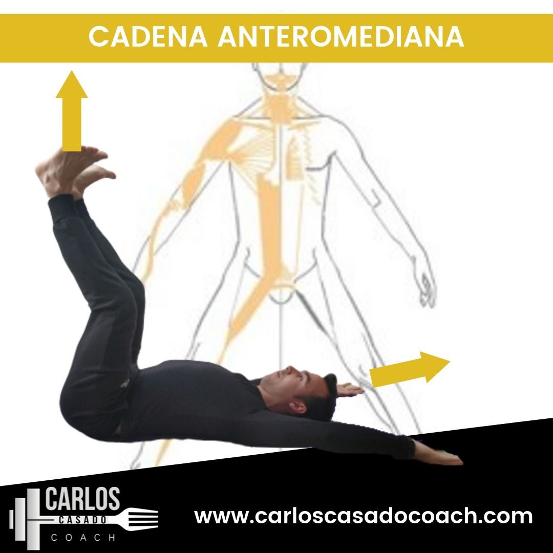 C Mo Estirar Cadenas Musculares Carlos Casado Coach